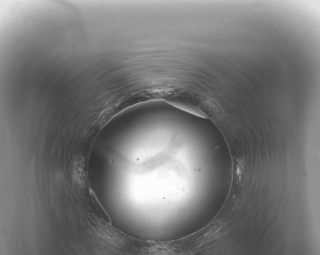 X0000054420867200508051803