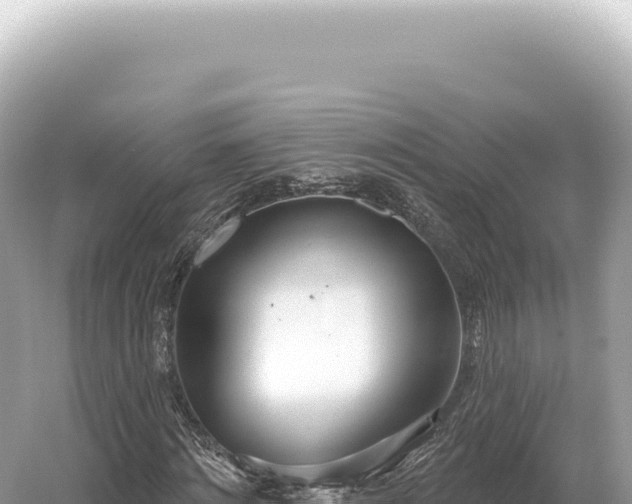 X0000054420868200508051803