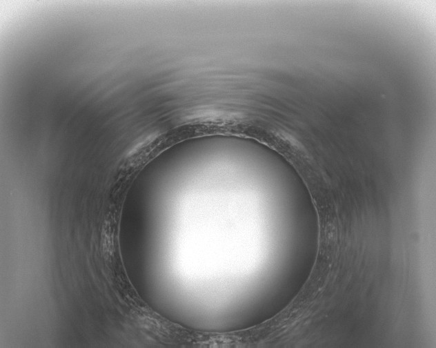 X0000054420869200508051803