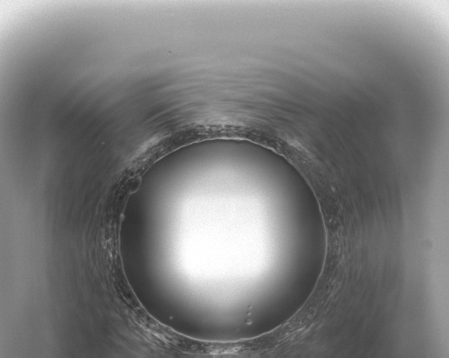 X0000054420870200508051803