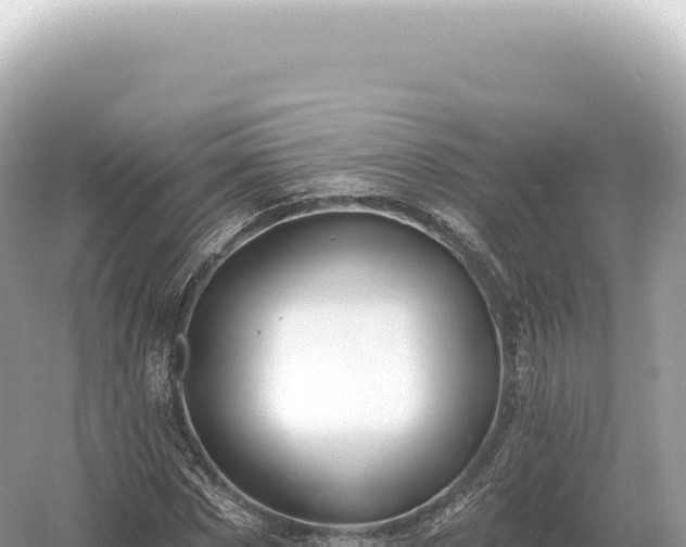 X0000054420873200508051803