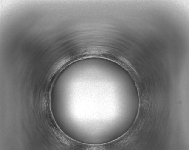 X0000054420874200508051803