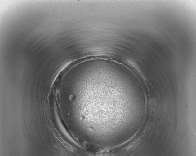 X0000054420875200508051803