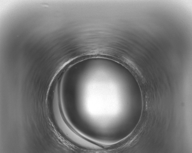 X0000054420876200508051803