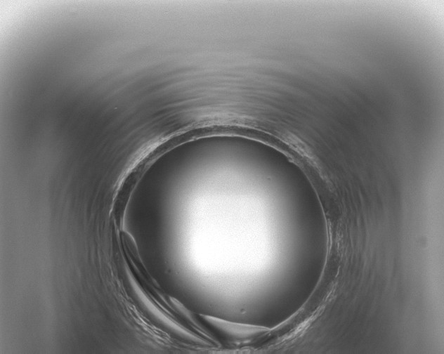 X0000054420877200508051803