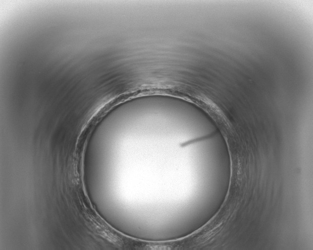 X0000054420878200508051803