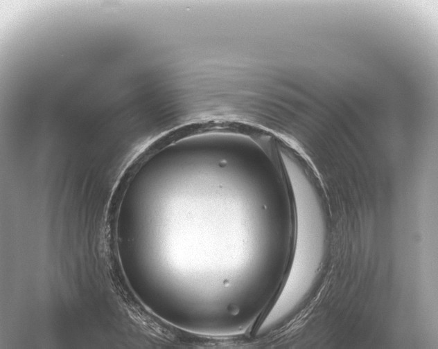 X0000054420879200508051803