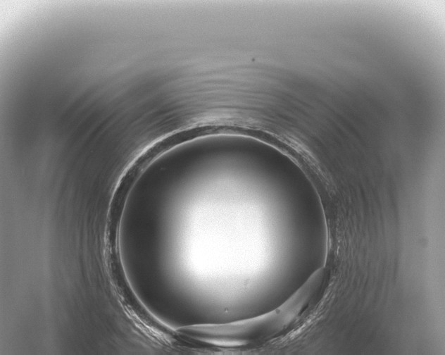 X0000054420880200508051803