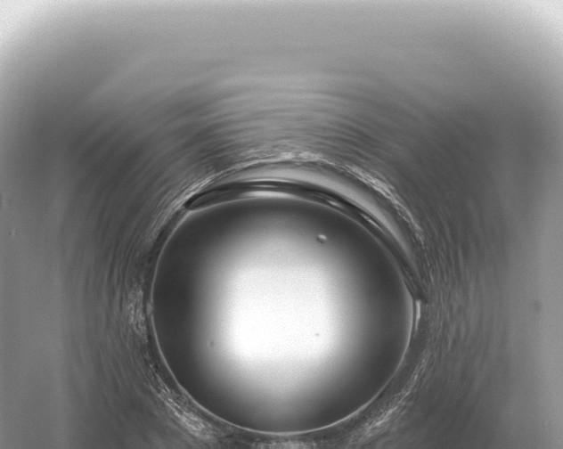 X0000054420881200508051803