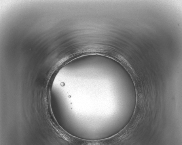 X0000054420882200508051803