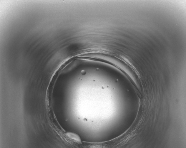 X0000054420883200508051803