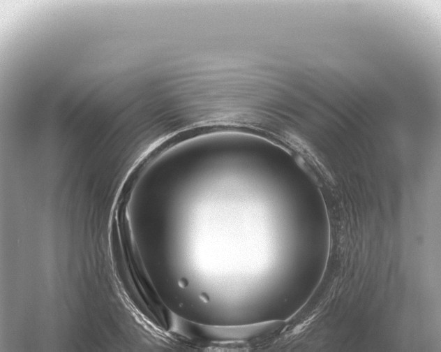 X0000054420884200508051803