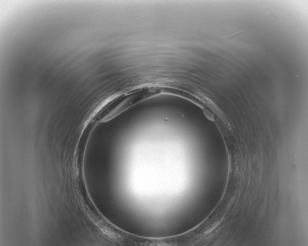 X0000054420885200508051803