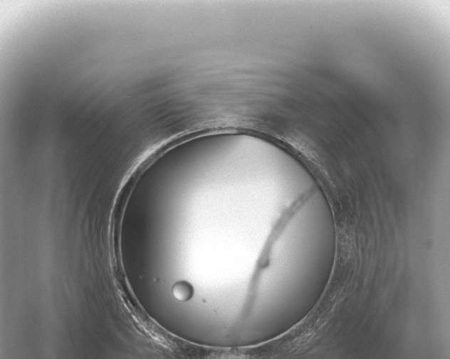 X0000054420886200508051803