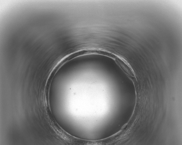 X0000054420887200508051803