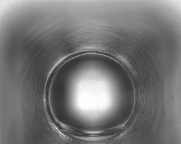 X0000054420888200508051803