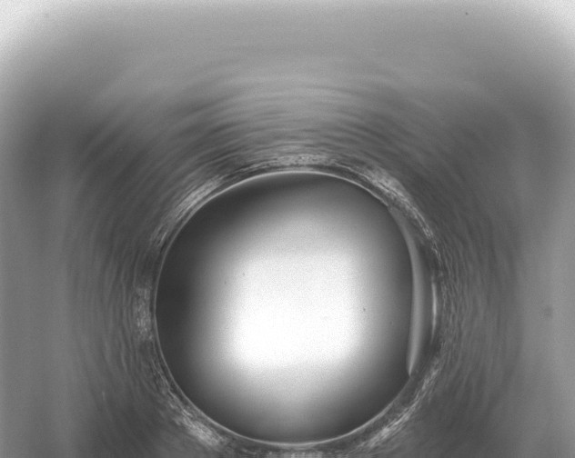 X0000054420889200508051803