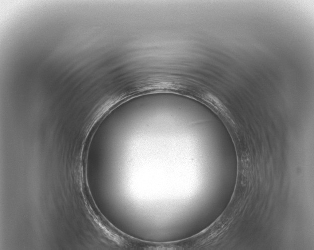 X0000054420890200508051803