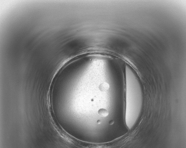 X0000054420891200508051803