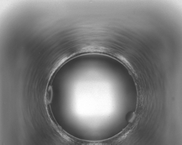 X0000054420893200508051803