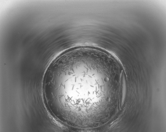 X0000054420895200508051803