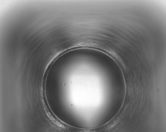 X0000054420896200508051803