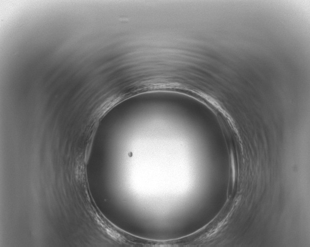 X0000054420897200508051803