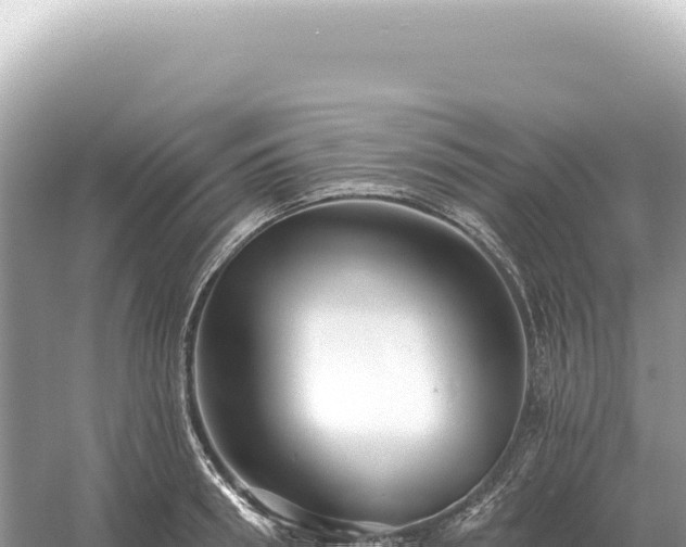 X0000054420898200508051803