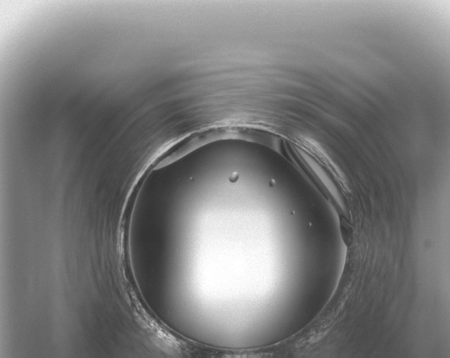 X0000054420900200508051803