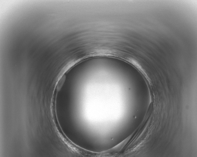 X0000054420901200508051803