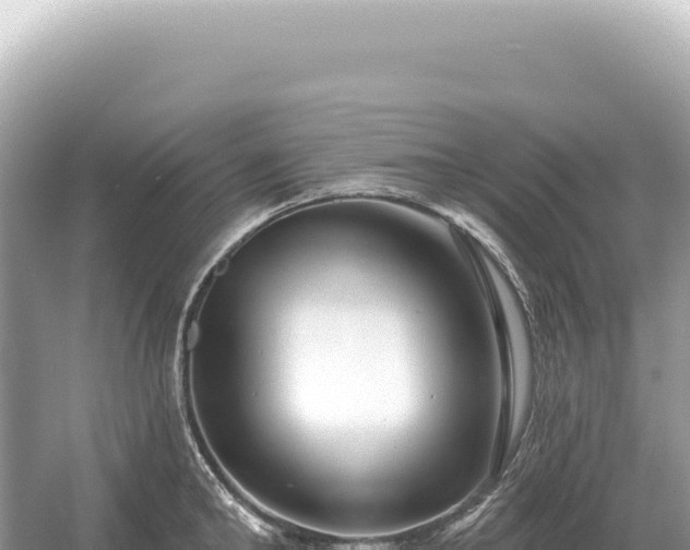 X0000054420902200508051802