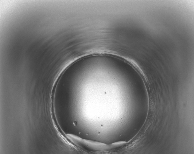 X0000054420903200508051802