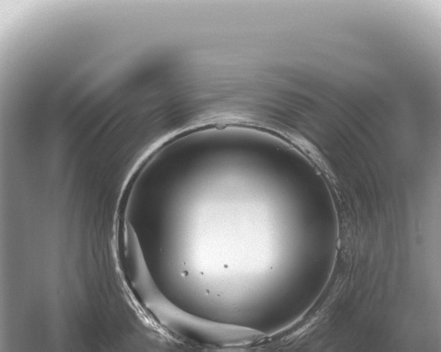 X0000054420904200508051802