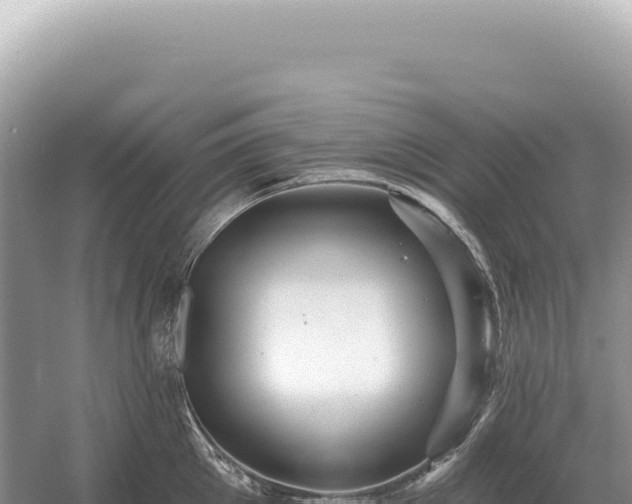 X0000054420905200508051802