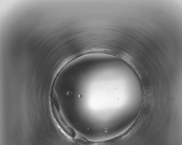 X0000054420906200508051802