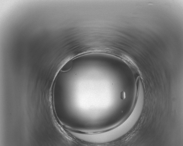 X0000054420907200508051802