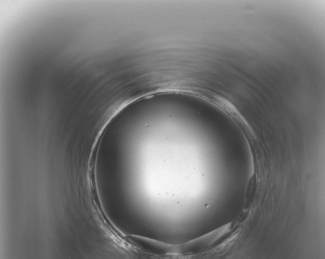 X0000054420908200508051802