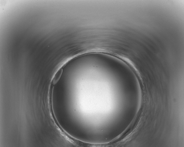 X0000054420910200508051802