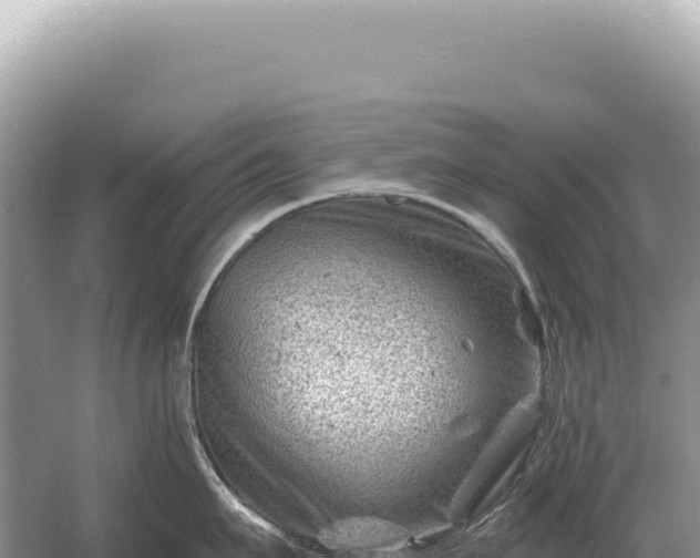 X0000054420911200508051802