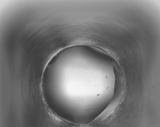 X0000054420912200508051802