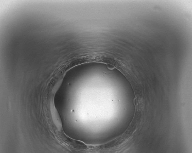 X0000054420913200508051801