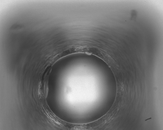 X0000054420914200508051802