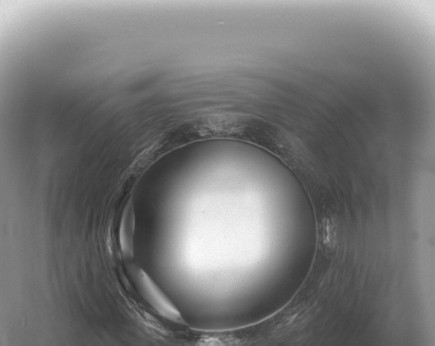 X0000054420915200508051802