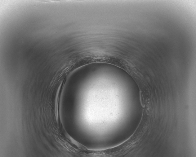 X0000054420916200508051802