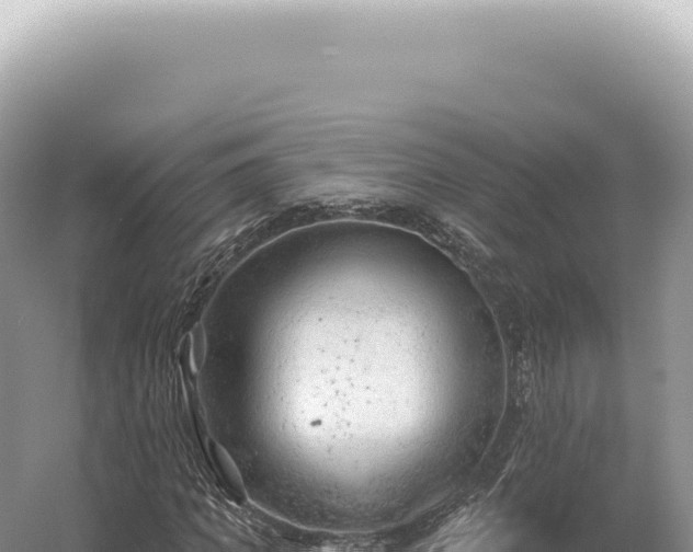 X0000054420917200508051802