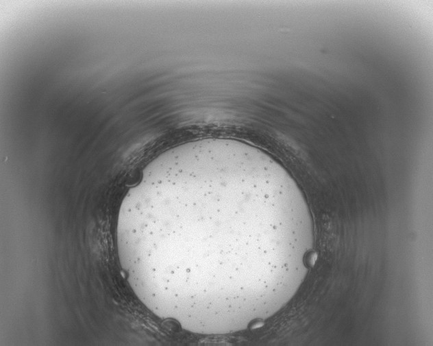 X0000054420918200508051802