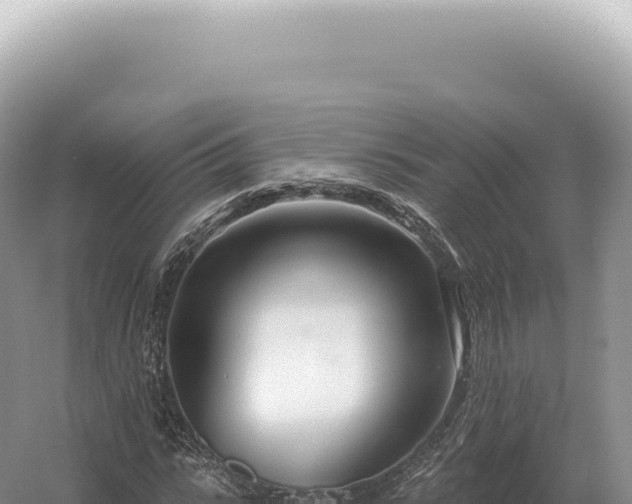 X0000054420919200508051802