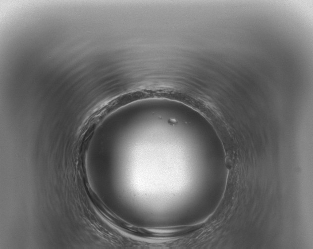 X0000054420920200508051802