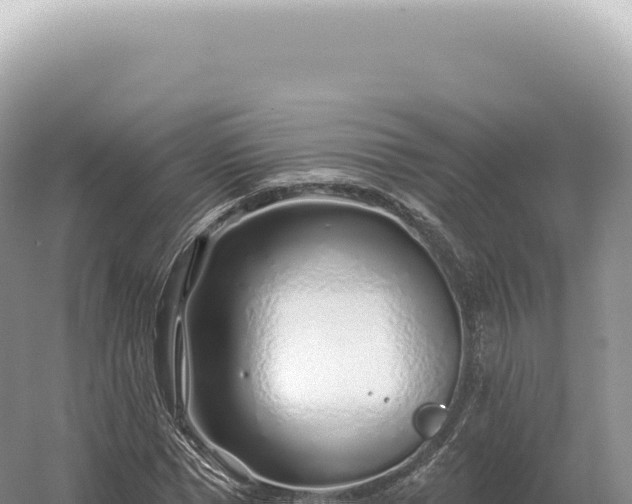 X0000054420921200508051802