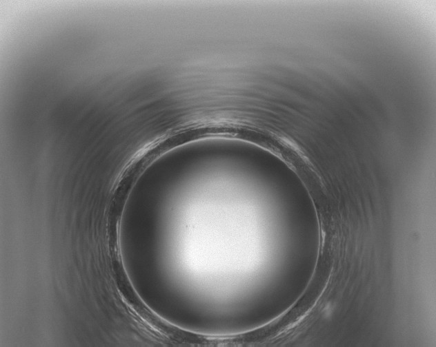 X0000054420922200508051802